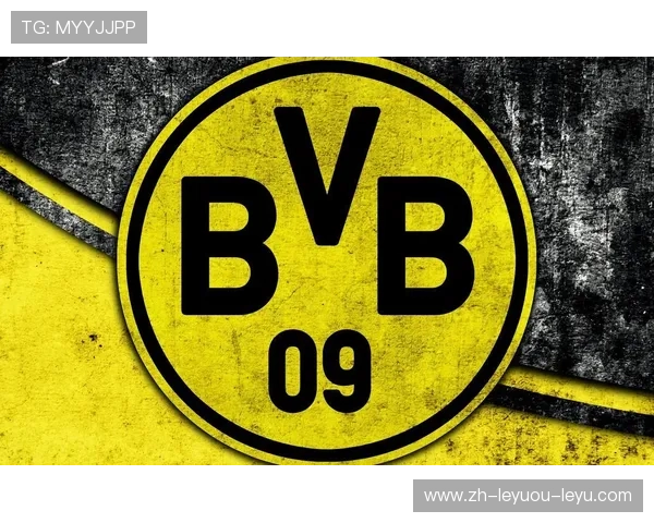 德甲球队队徽标志演变过程与设计变化视频