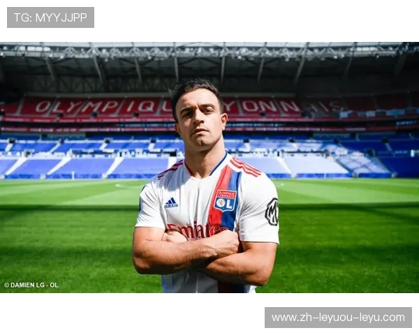 法甲赛季转会分析报告：转会窗口表现与投入产出比评估